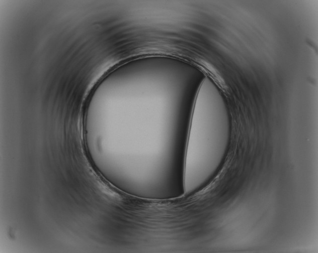 X0000092110796200709121128