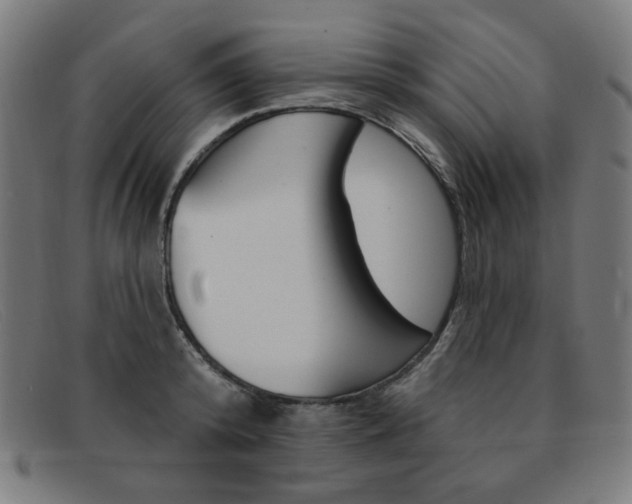 X0000092110800200709121128