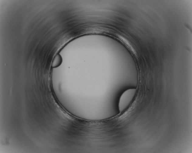X0000092110802200709121128