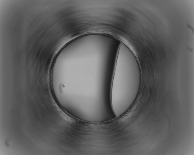 X0000092110803200709121128