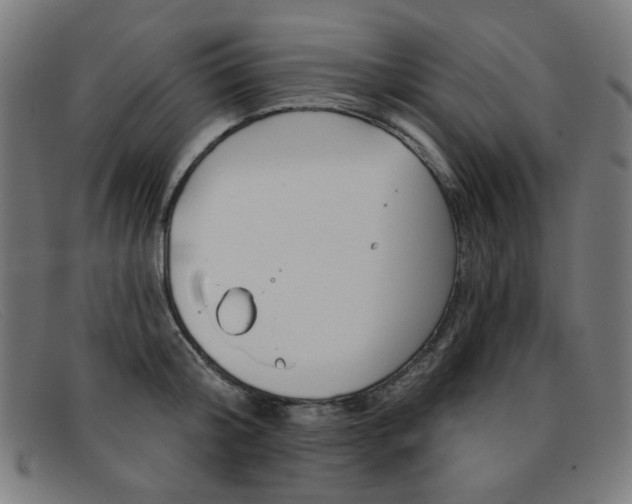 X0000092110804200709121128