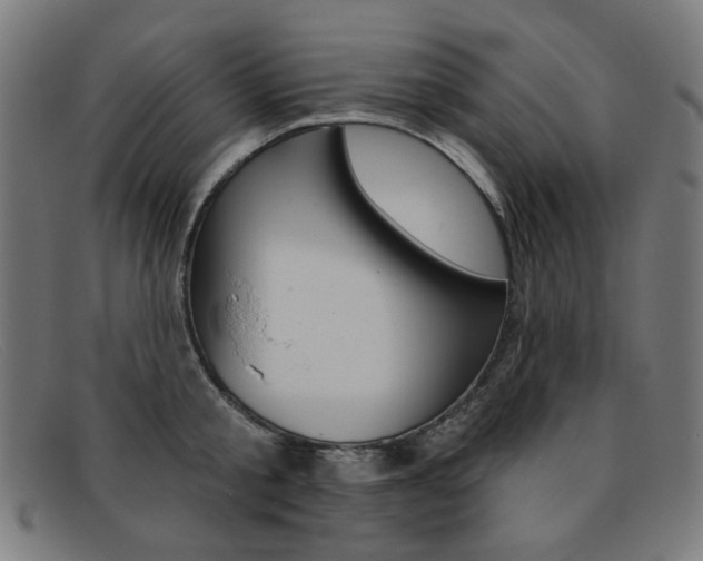 X0000092110805200709121128