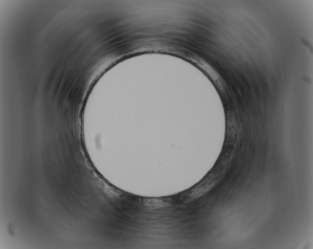 X0000092110807200709121128