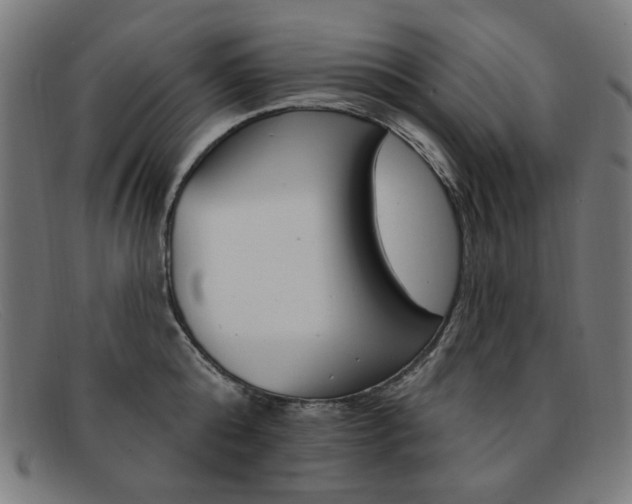X0000092110808200709121128