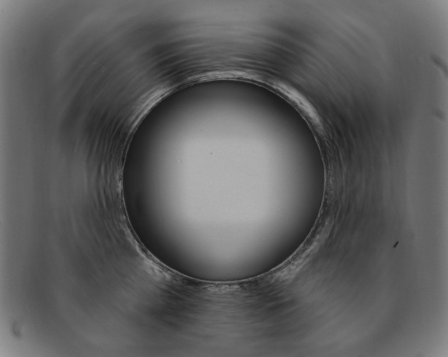X0000092110809200709121128