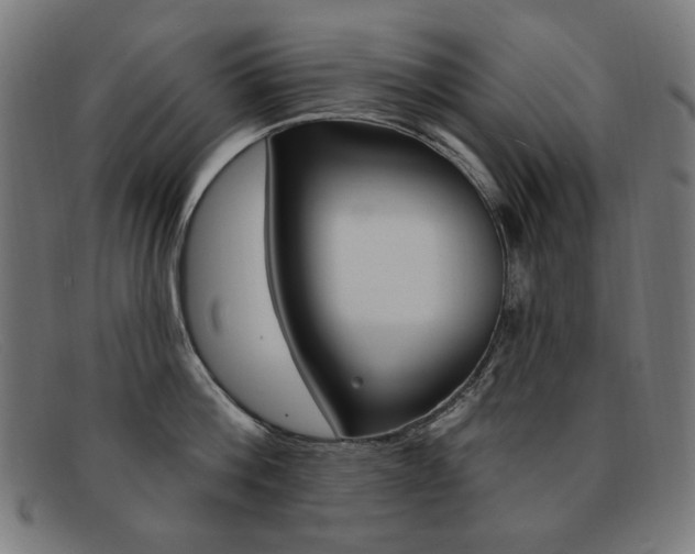 X0000092110812200709121128