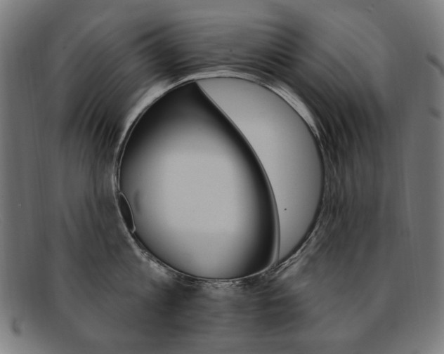 X0000092110813200709121128
