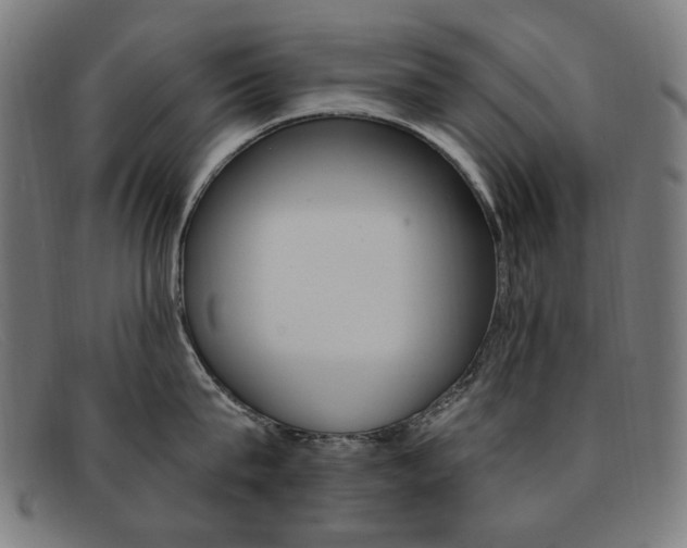 X0000092110815200709121128