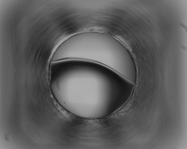 X0000092110816200709121128