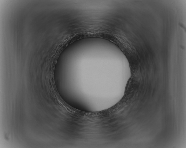 X0000092110817200709121128