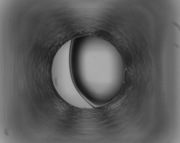 X0000092110818200709121128