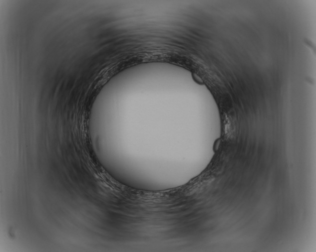 X0000092110819200709121128