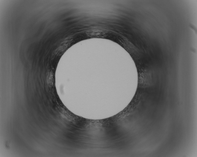 X0000092110820200709121128