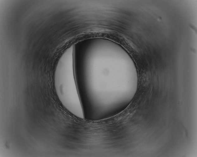 X0000092110821200709121128
