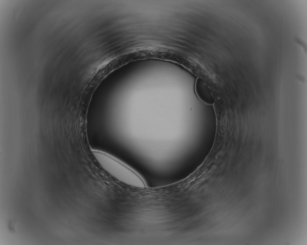X0000092110822200709121128