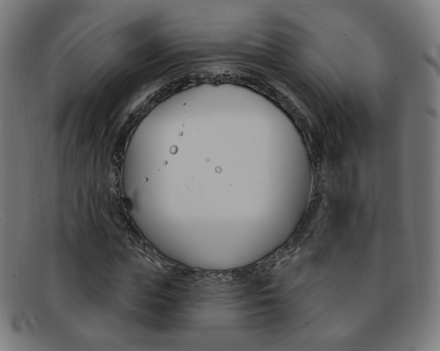 X0000092110823200709121128