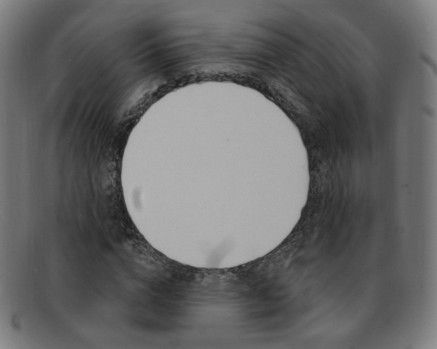 X0000092110824200709121128