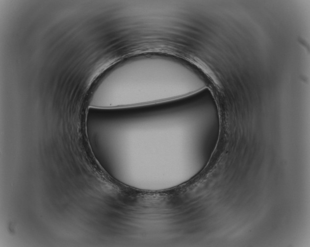 X0000092110826200709121128