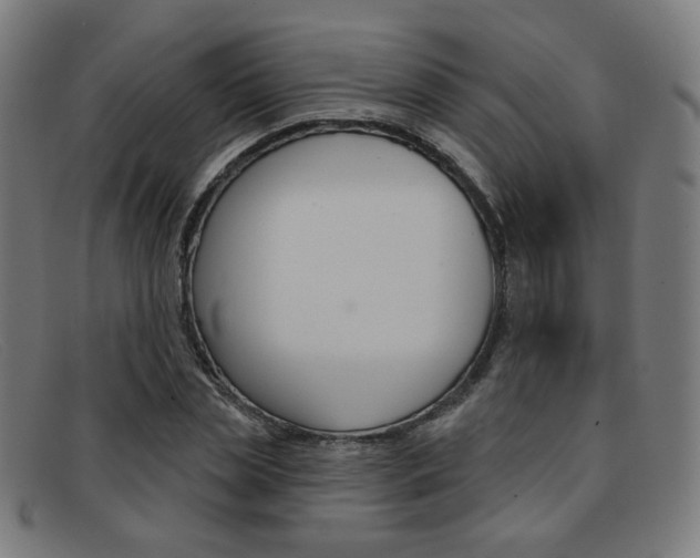 X0000092110829200709121128