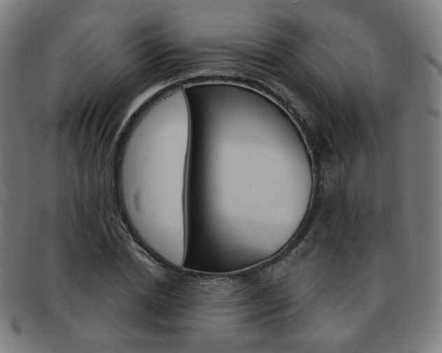 X0000092110830200709121128