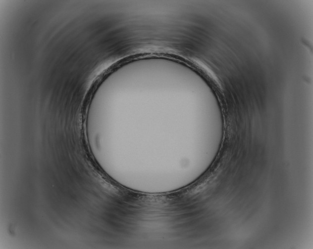 X0000092110831200709121128