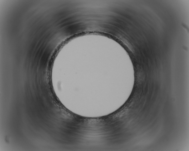 X0000092110832200709121128