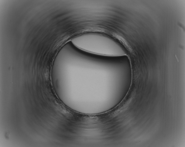 X0000092110833200709121128