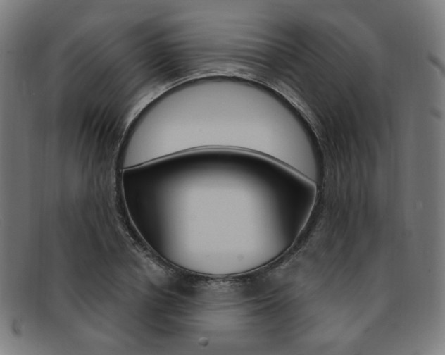 X0000092110834200709121128