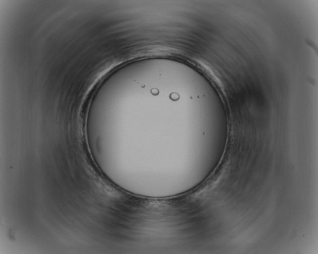 X0000092110835200709121128