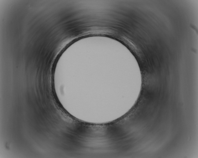 X0000092110836200709121128