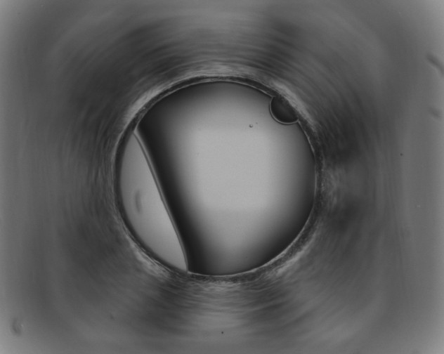 X0000092110837200709121128