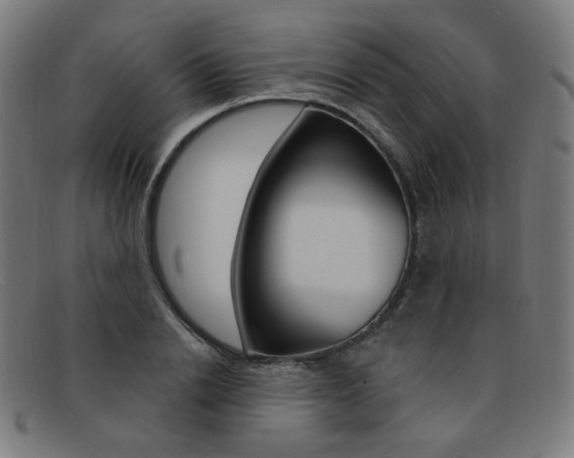 X0000092110838200709121128