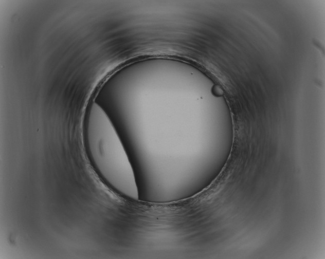 X0000092110840200709121128