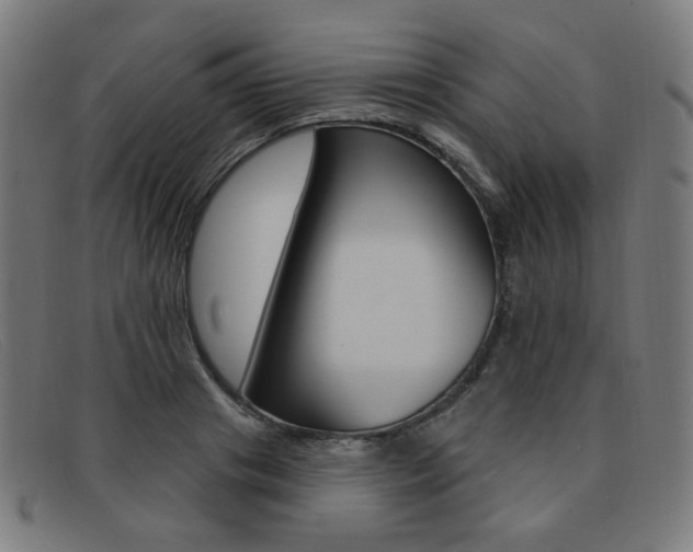 X0000092110841200709121128