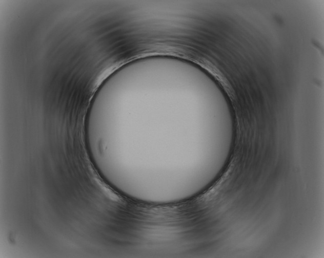 X0000092110842200709121128