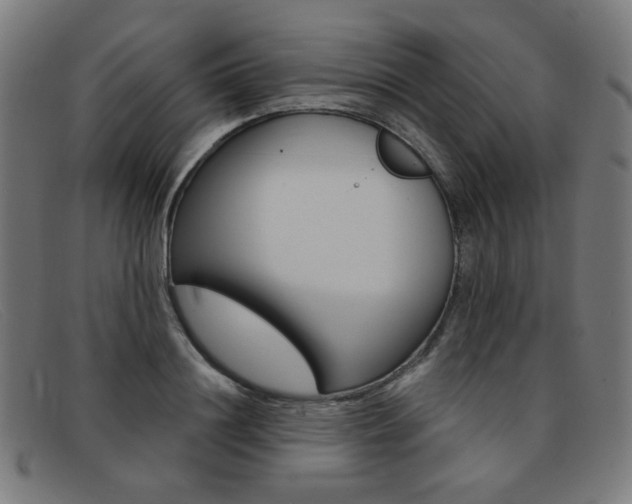 X0000092110844200709121128