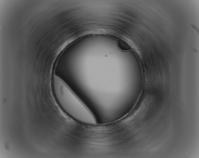 X0000092110845200709121128