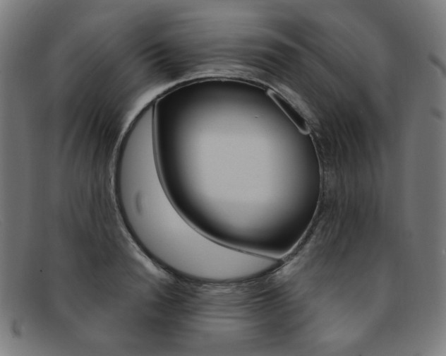 X0000092110846200709121128
