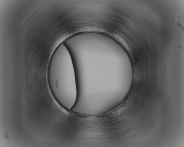 X0000092110847200709121128