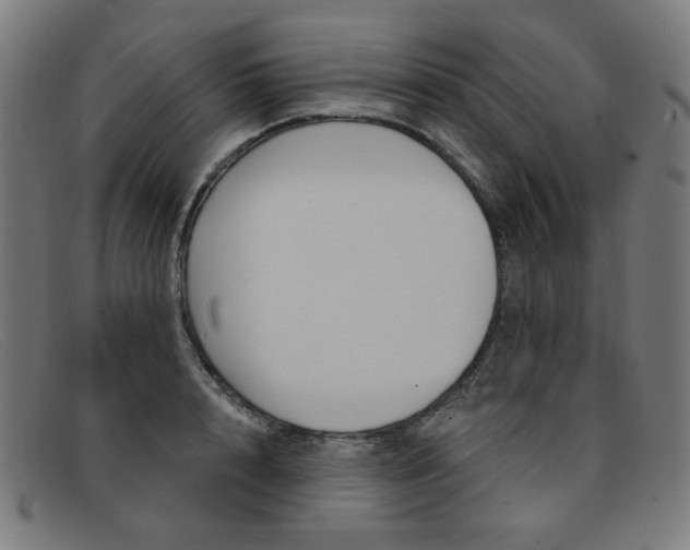 X0000092110848200709121128