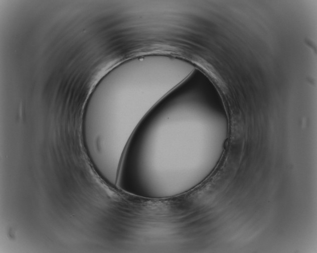 X0000092110850200709121128