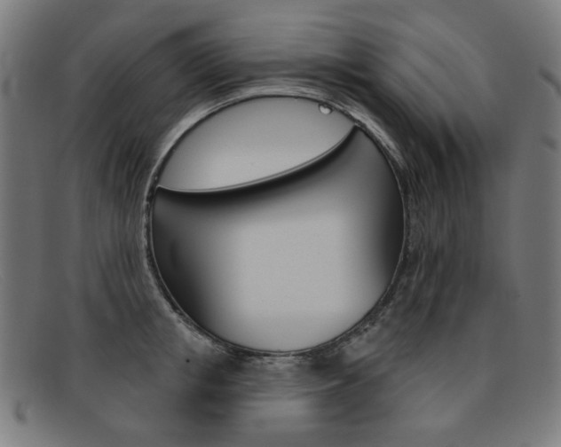 X0000092110853200709121128