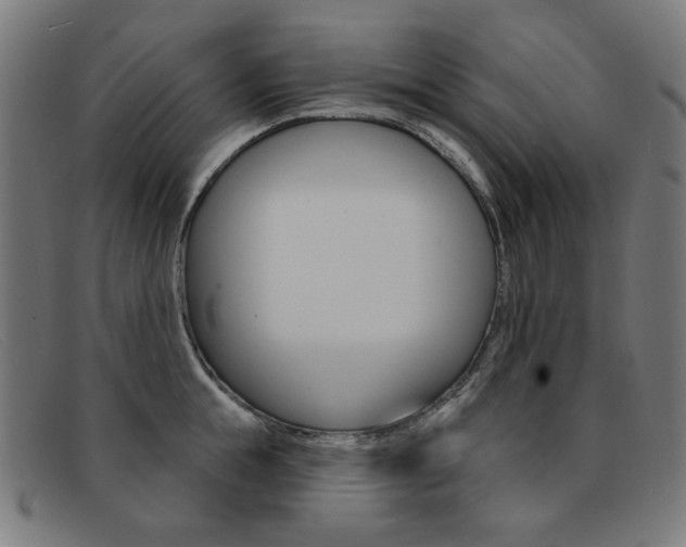 X0000092110855200709121128