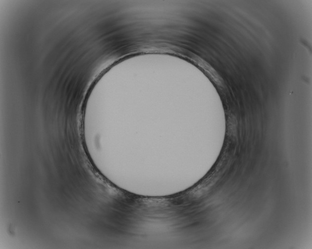 X0000092110856200709121128