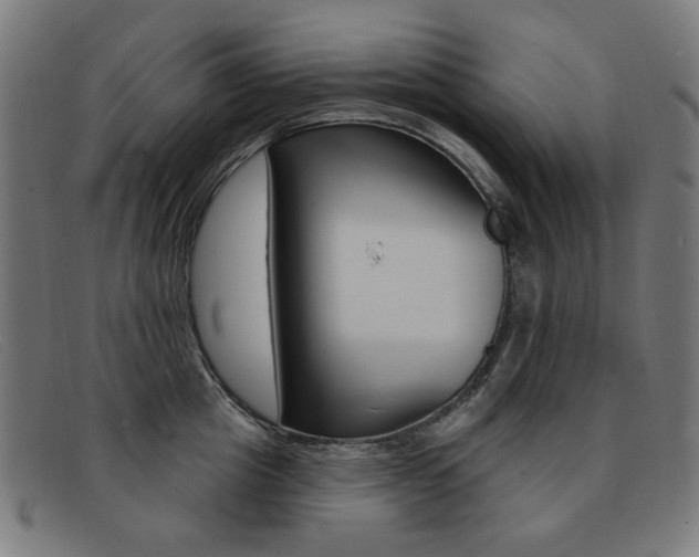 X0000092110857200709121128