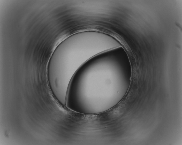 X0000092110858200709121128