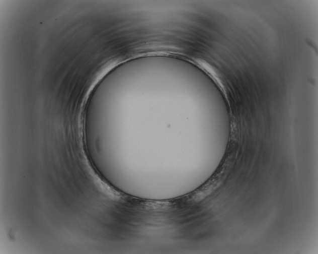 X0000092110859200709121128