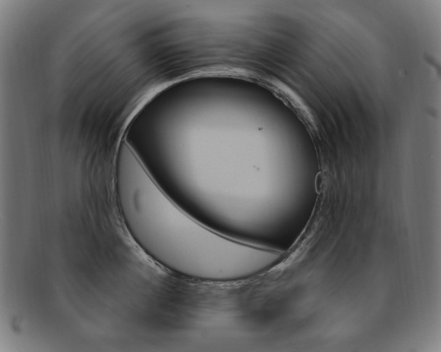 X0000092110860200709121128