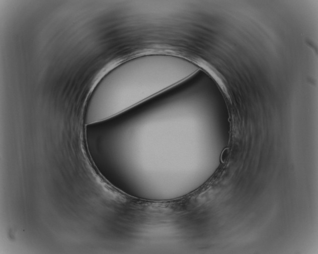 X0000092110861200709121128
