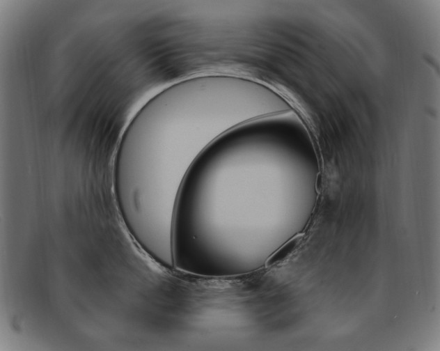 X0000092110862200709121128